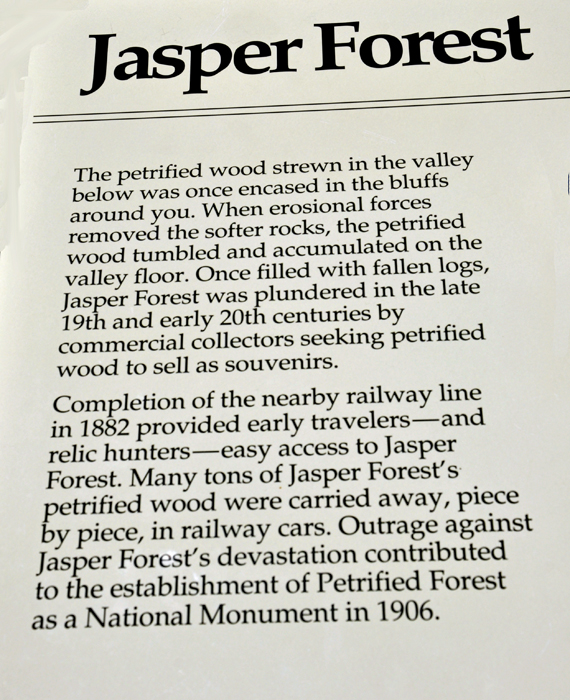 sign about Jasper Forest in the Petrified Forest